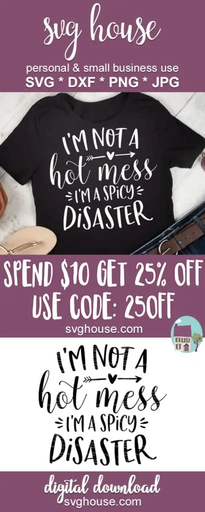 I'm Not A Hot Mess I'm A Spicy Disaster SVG