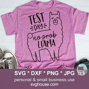 Test Day No Prob Llama SVG